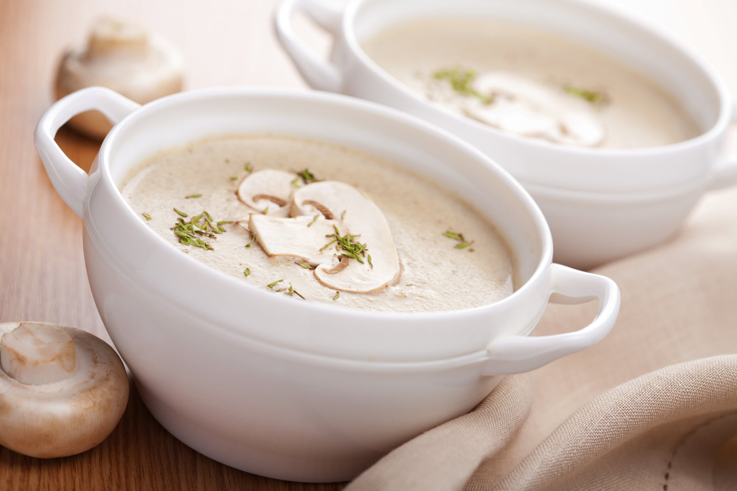 Cream of Chicken & Mushroom Soup
