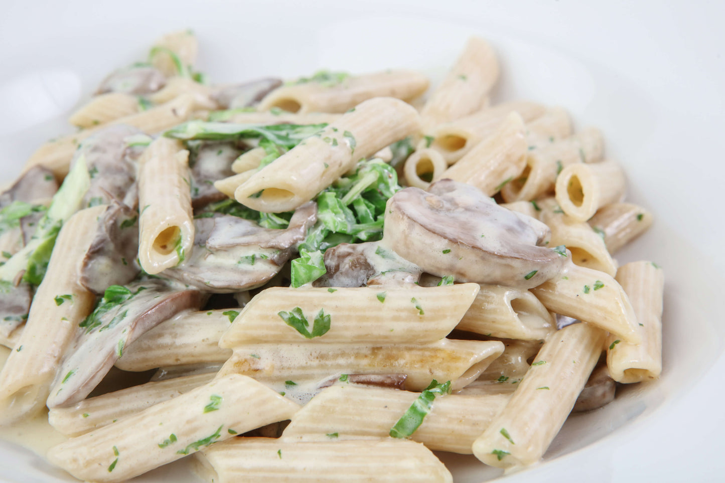 Creamy Mushroom Pasta